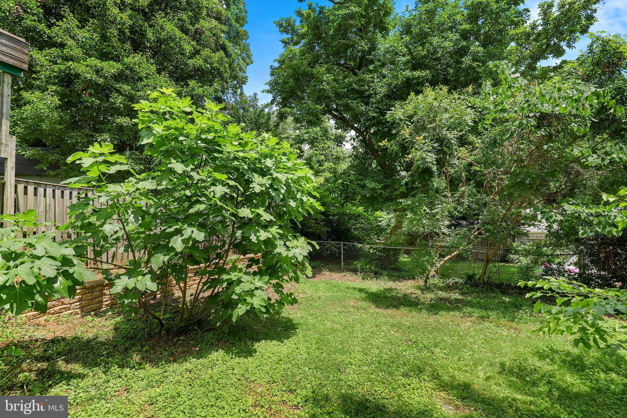 615 Wayne Avenue Silver Spring, MD 20910 - Photo 41 of 41 Gallery Image 41