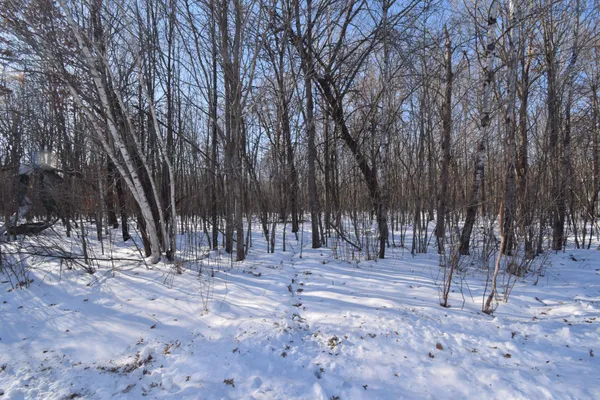 $105,000 | 1-4 Clam Lake Drive, Siren, WI 54872