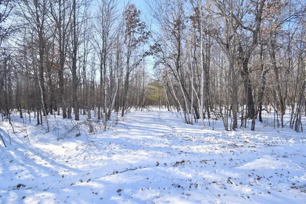 $105,000 | 1-4 Clam Lake Drive, Siren, WI 54872
