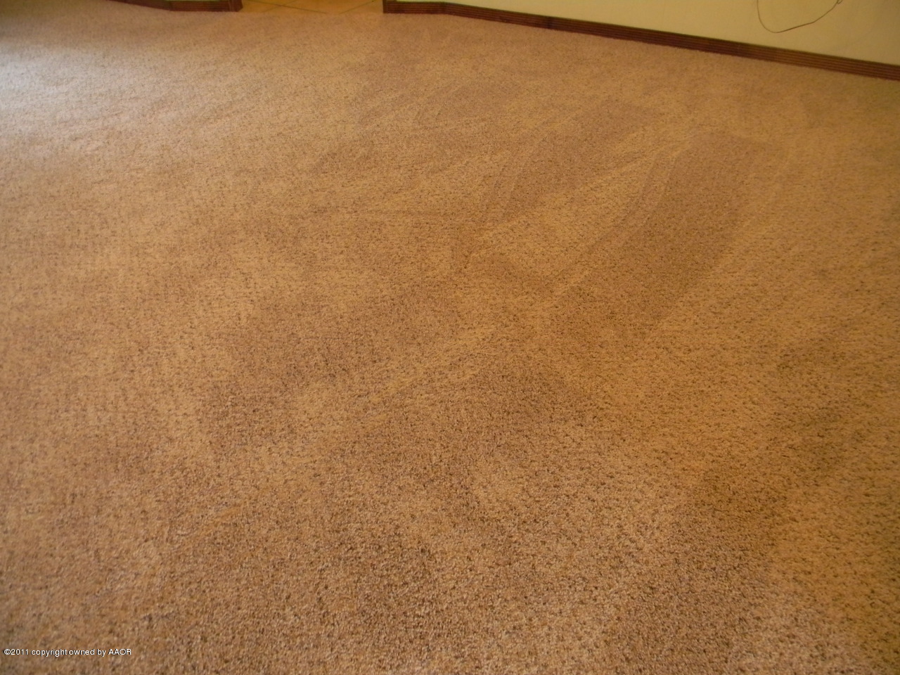 4434 Kingston Road Amarillo, TX 79109 - Photo 6 of 27 NEW CARPET