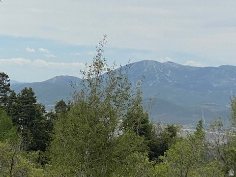 2604 South Forest Meadow Road, Unit C82 Coalville, UT 84017 - Photo 8 of 27 Image quality insufficient for description