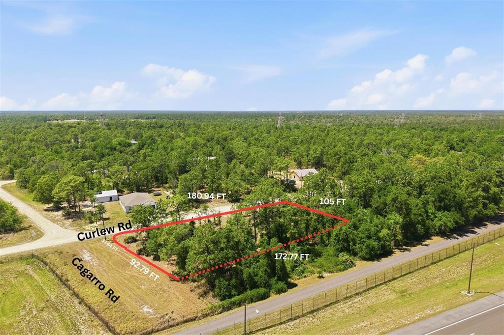 10 Cagarro Road Weeki Wachee, FL 34614 - Photo 4 of 21