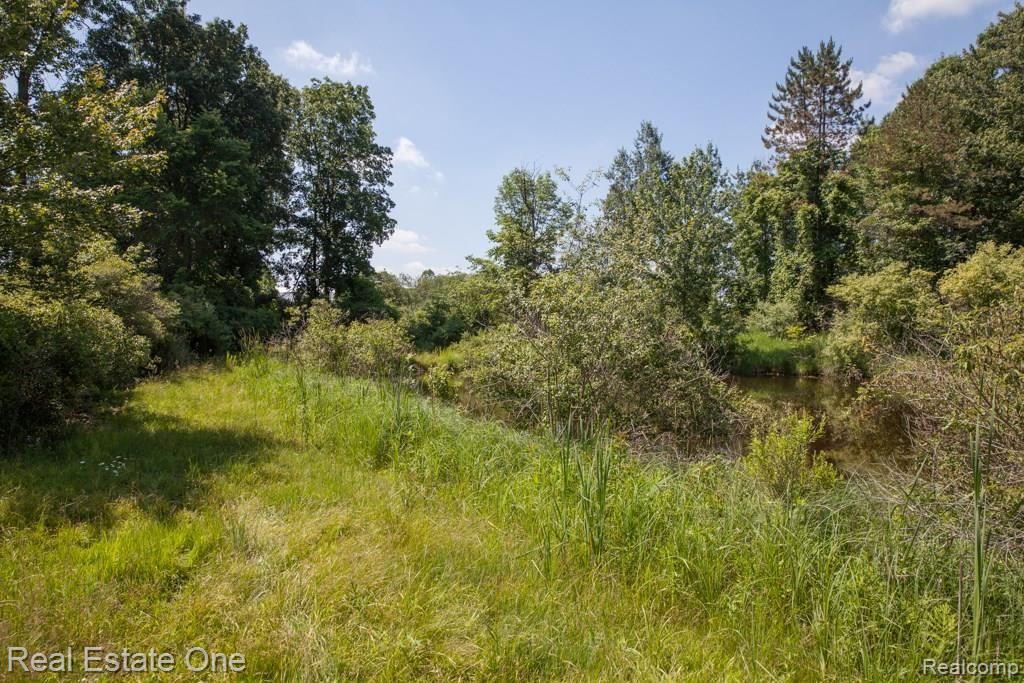 0 Edgewood Road Ortonville, MI 48462 - Photo 9 of 20