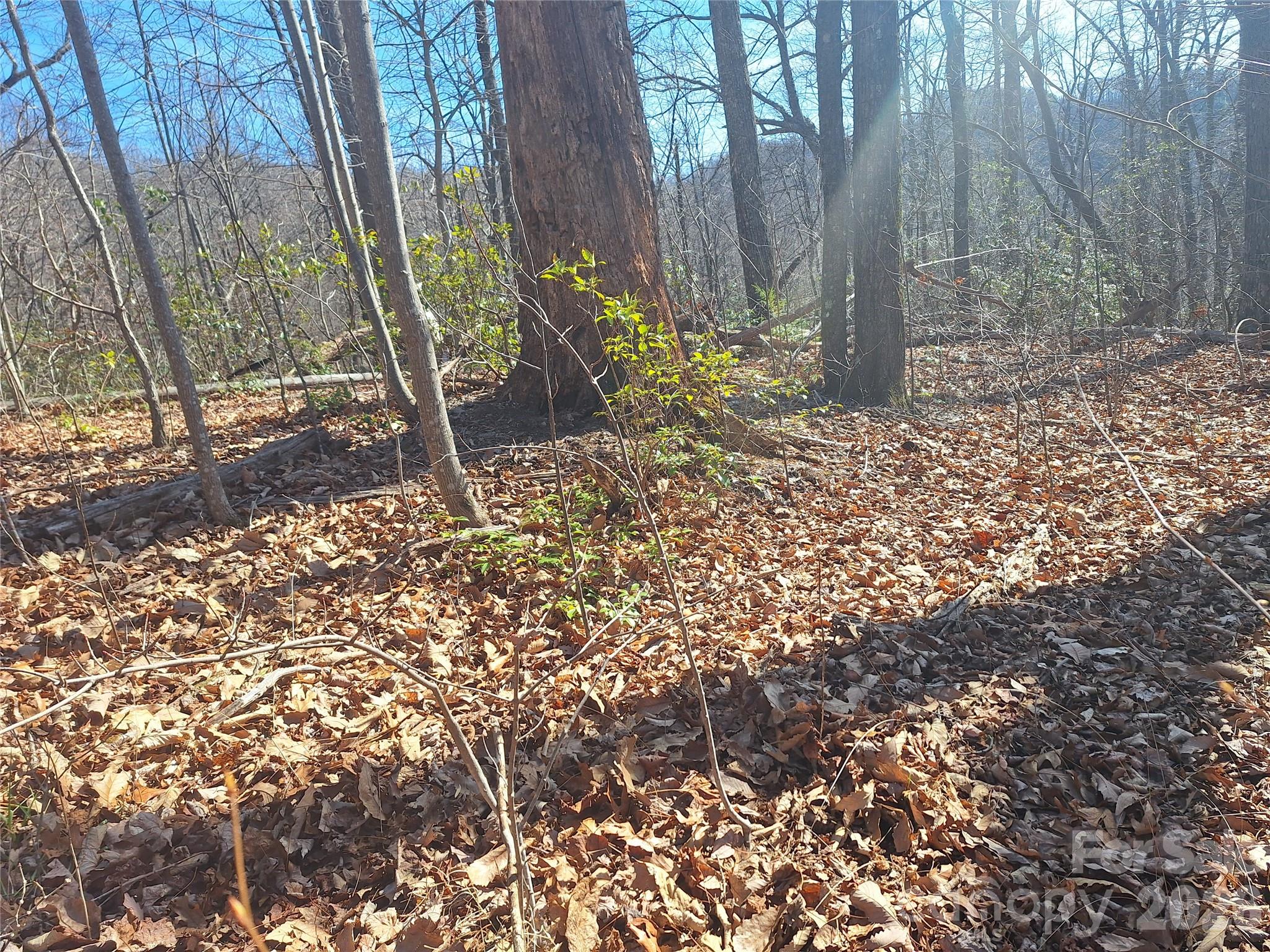 965 Wolf Pen Road Old Fort, NC 28762 - Photo 21 of 26