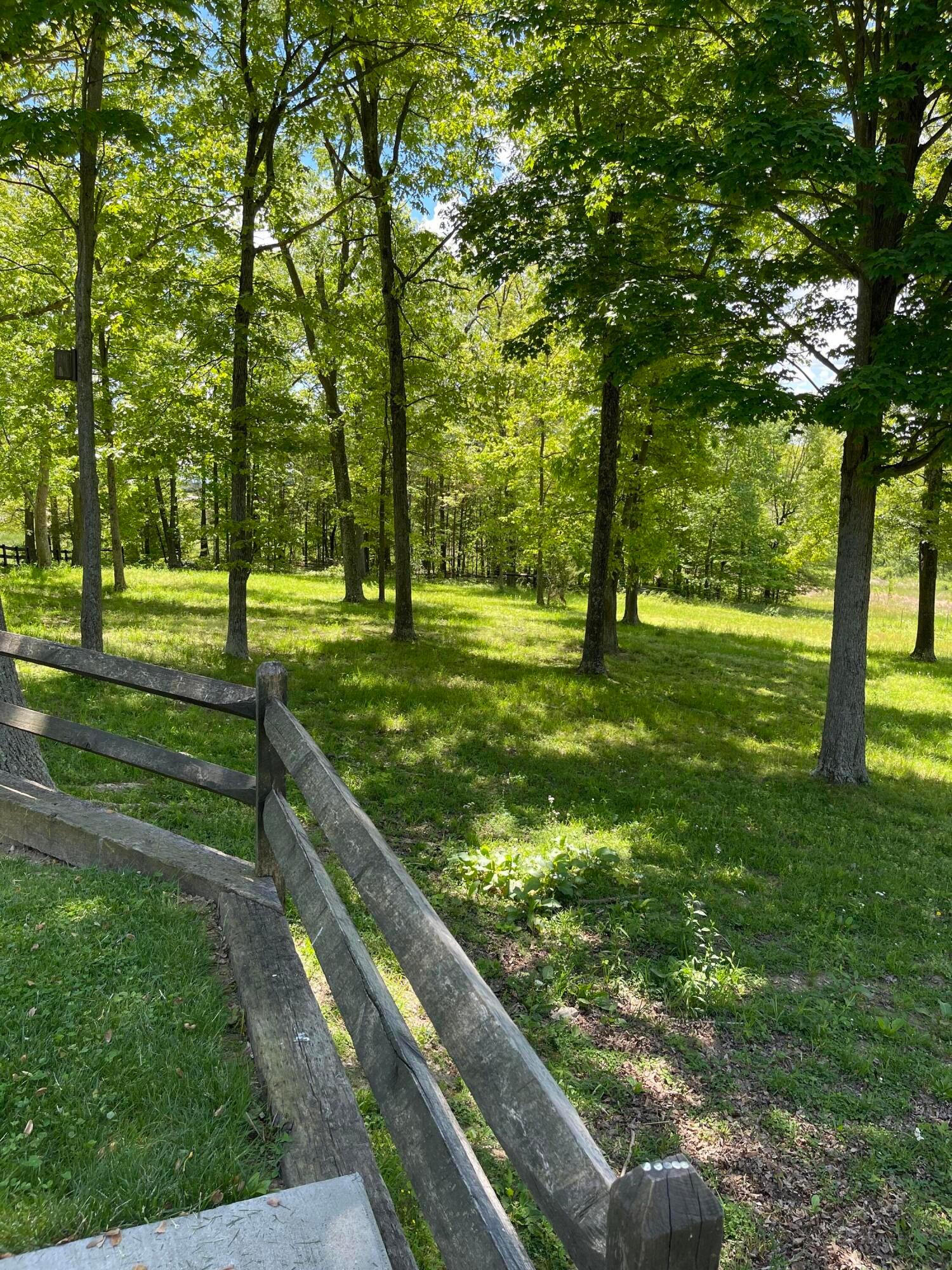 509 Homer Lewis Road Jackson, OH 45640 - Photo 23 of 33 7F886553-1BFE-40C3-B33B-58CFE34374E4