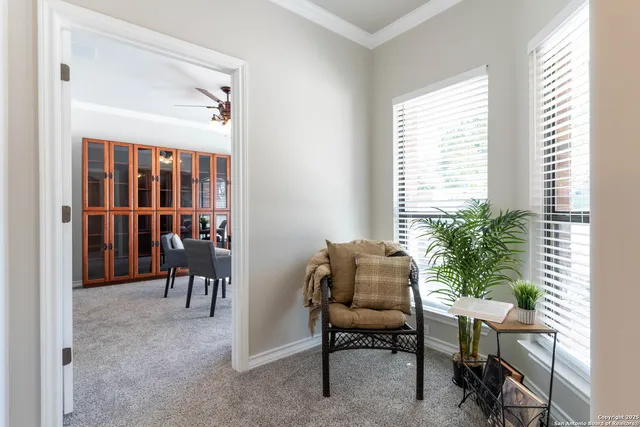 a dining room with furniture and a potted plant