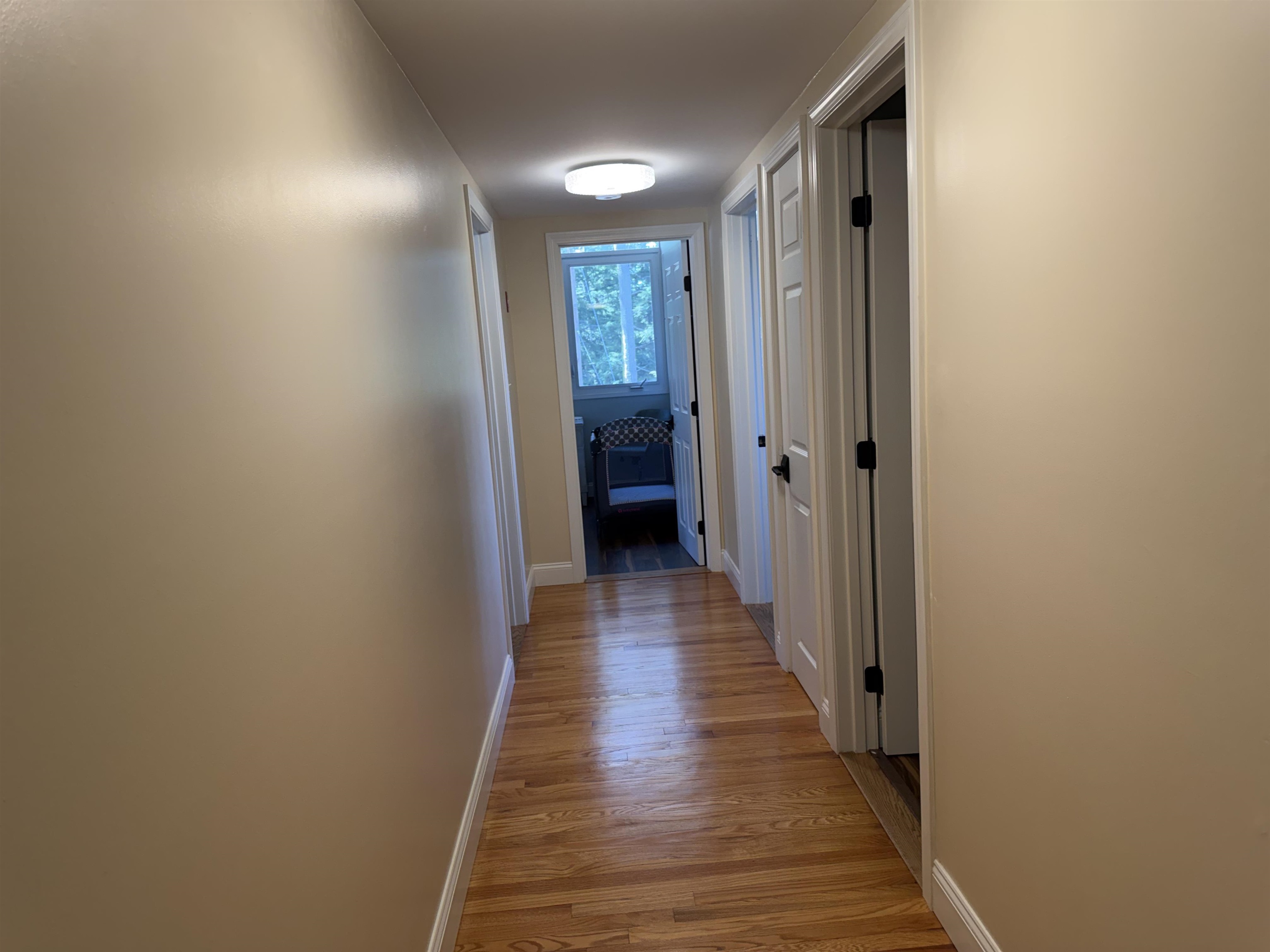69 Butterfield Road Center Harbor, NH 03226 - Photo 22 of 48