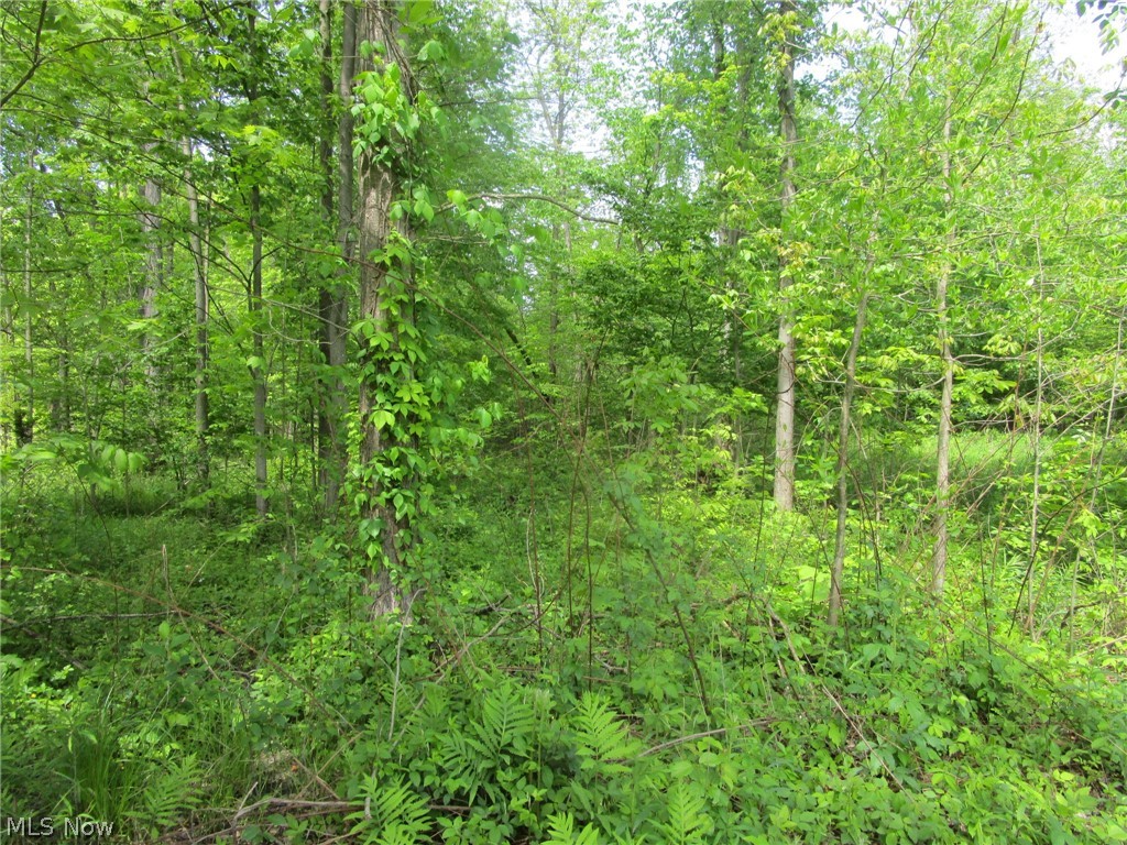 Vl Doyle Road Jefferson, OH 44047 - Photo 32 of 42