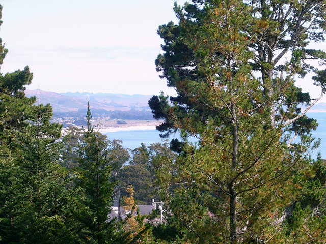 643 Isabella Road El Granada, CA 94019 - Photo 25 of 25 Gallery Image 25