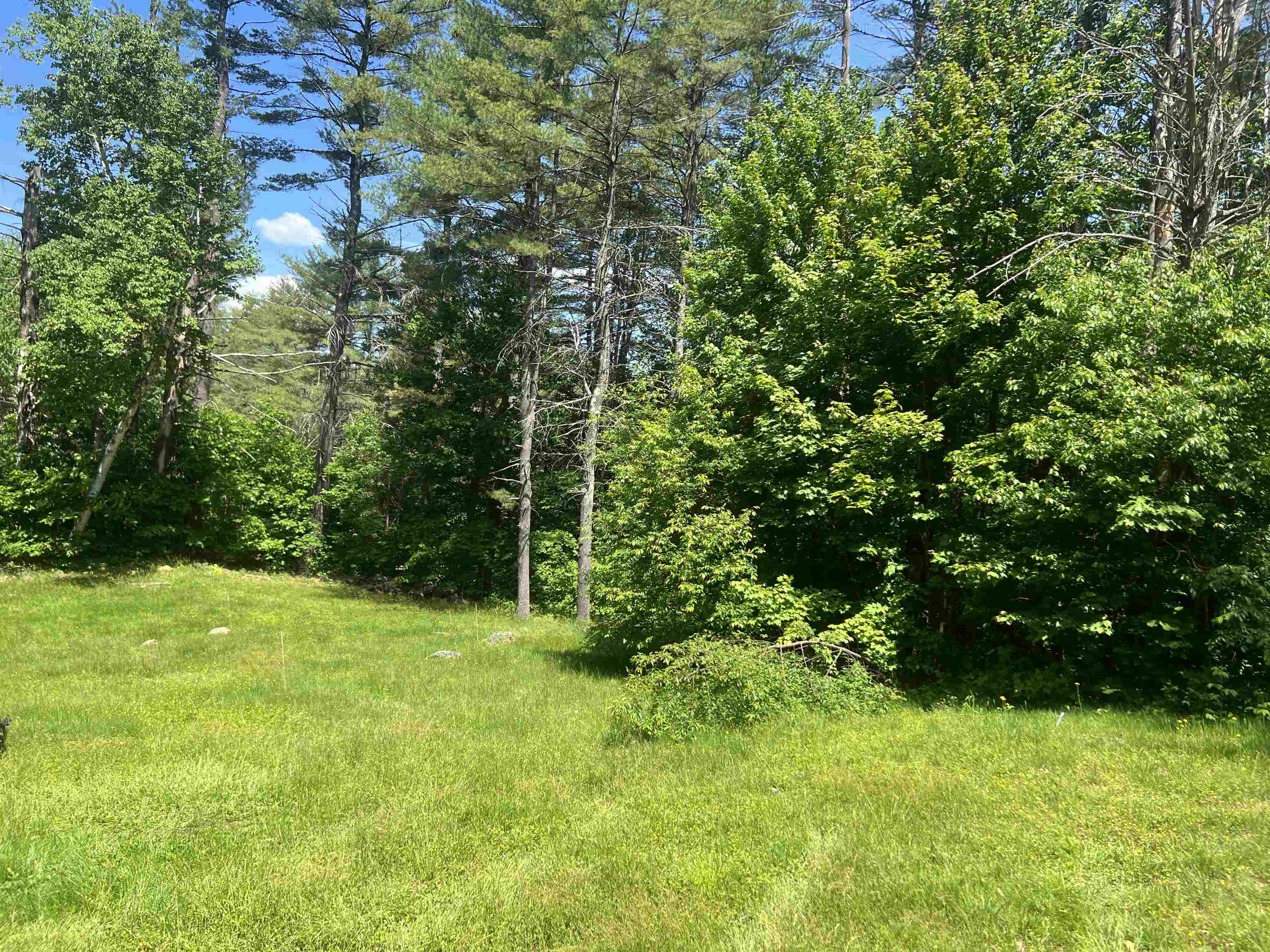 25 Mayhew Turnpike Hebron, NH 03241 - Photo 20 of 25
