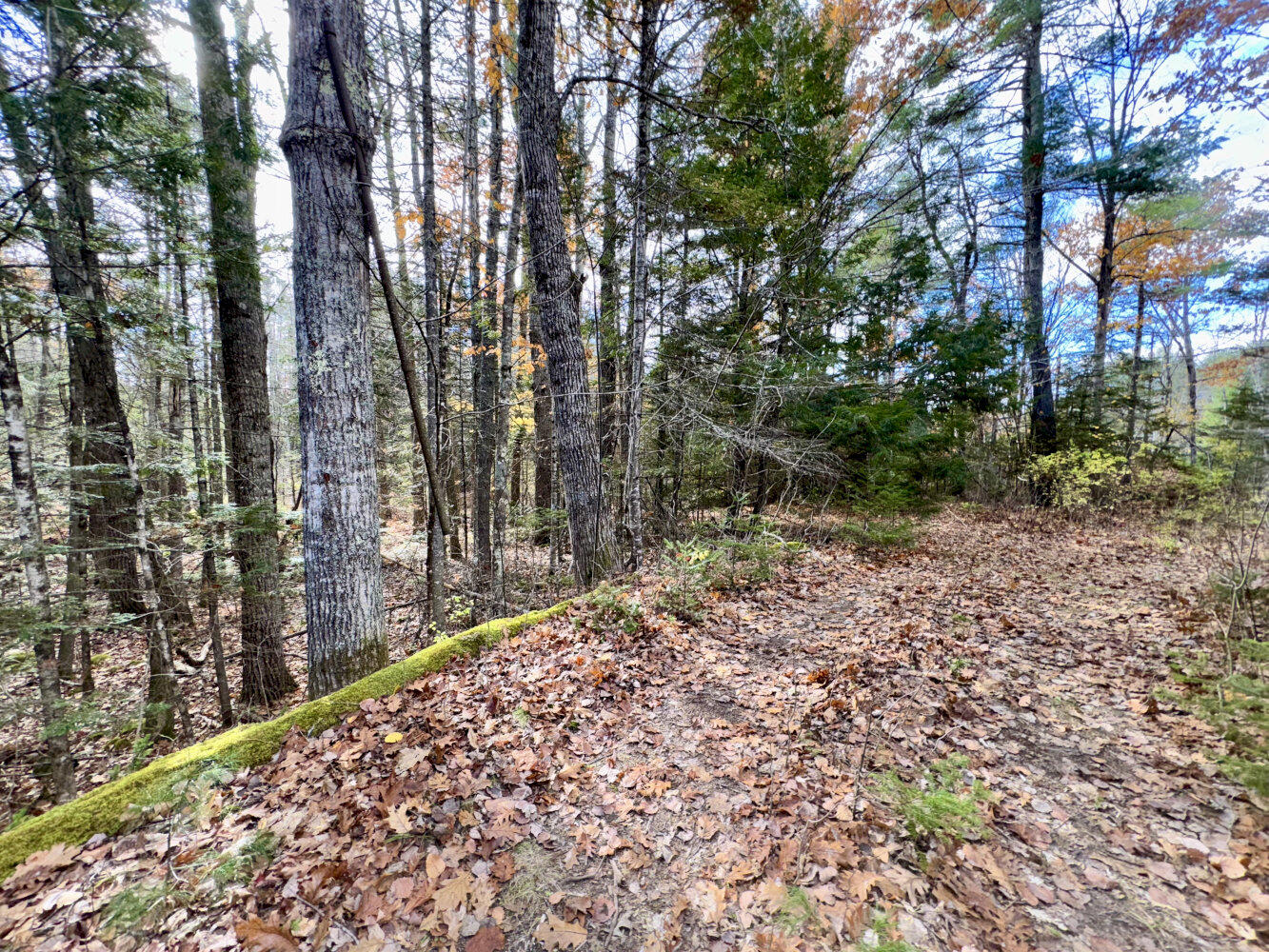 2738 Burkettville Road Liberty, ME 04949 - Photo 25 of 25 Photo Oct 29 2025, 12 56 57 PM_result