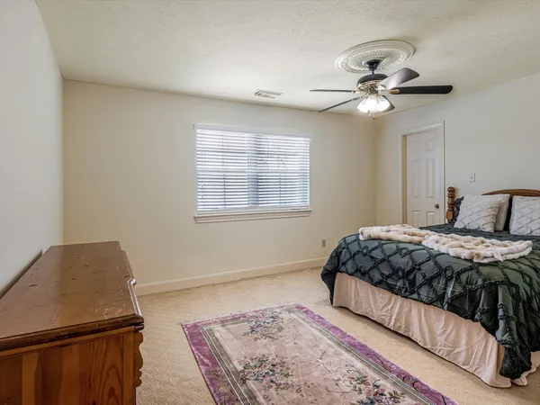 a bedroom with bed and a potted plant