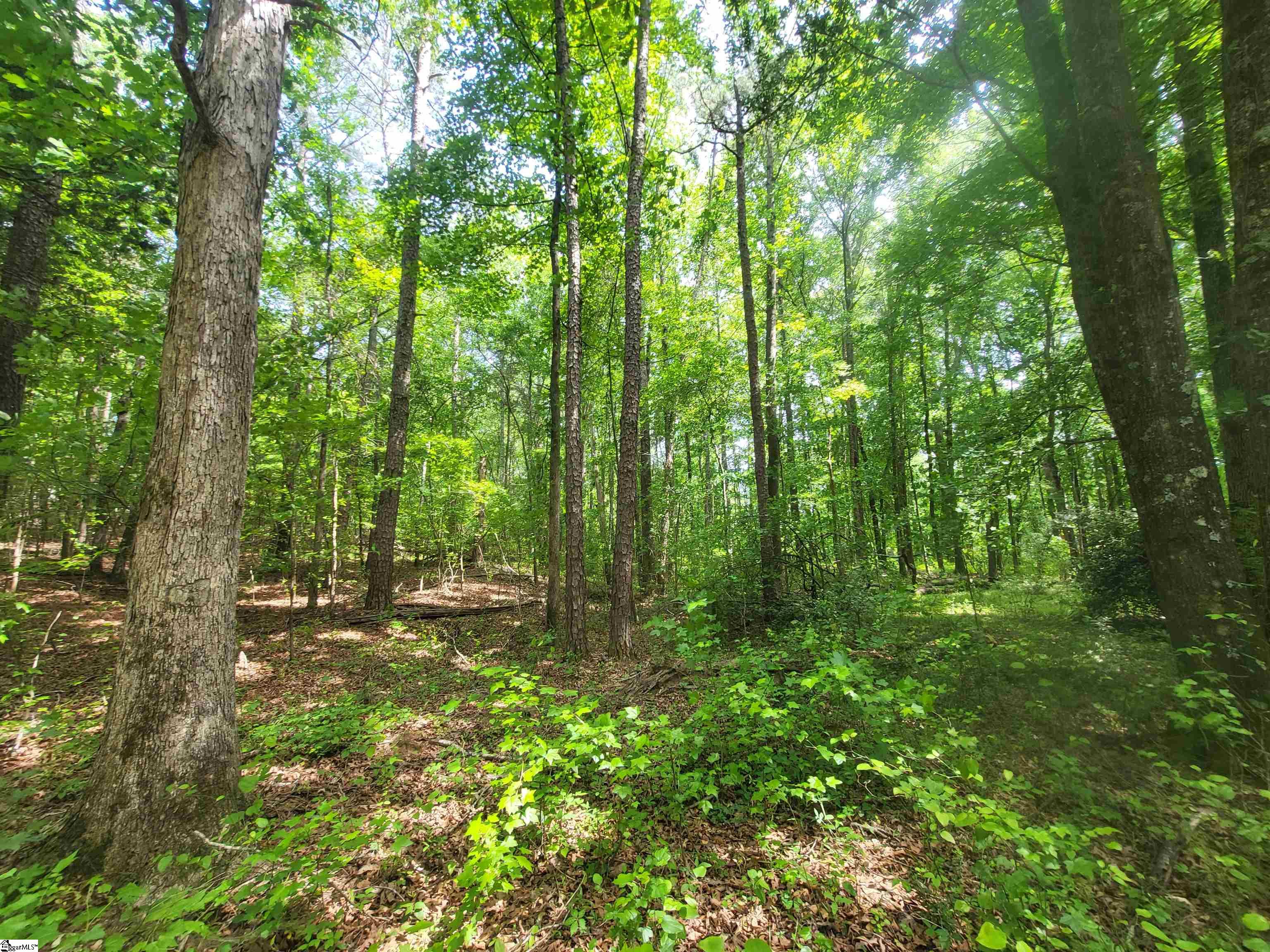 162 Courtney Road Cowpens, SC 29330 - Photo 2 of 8