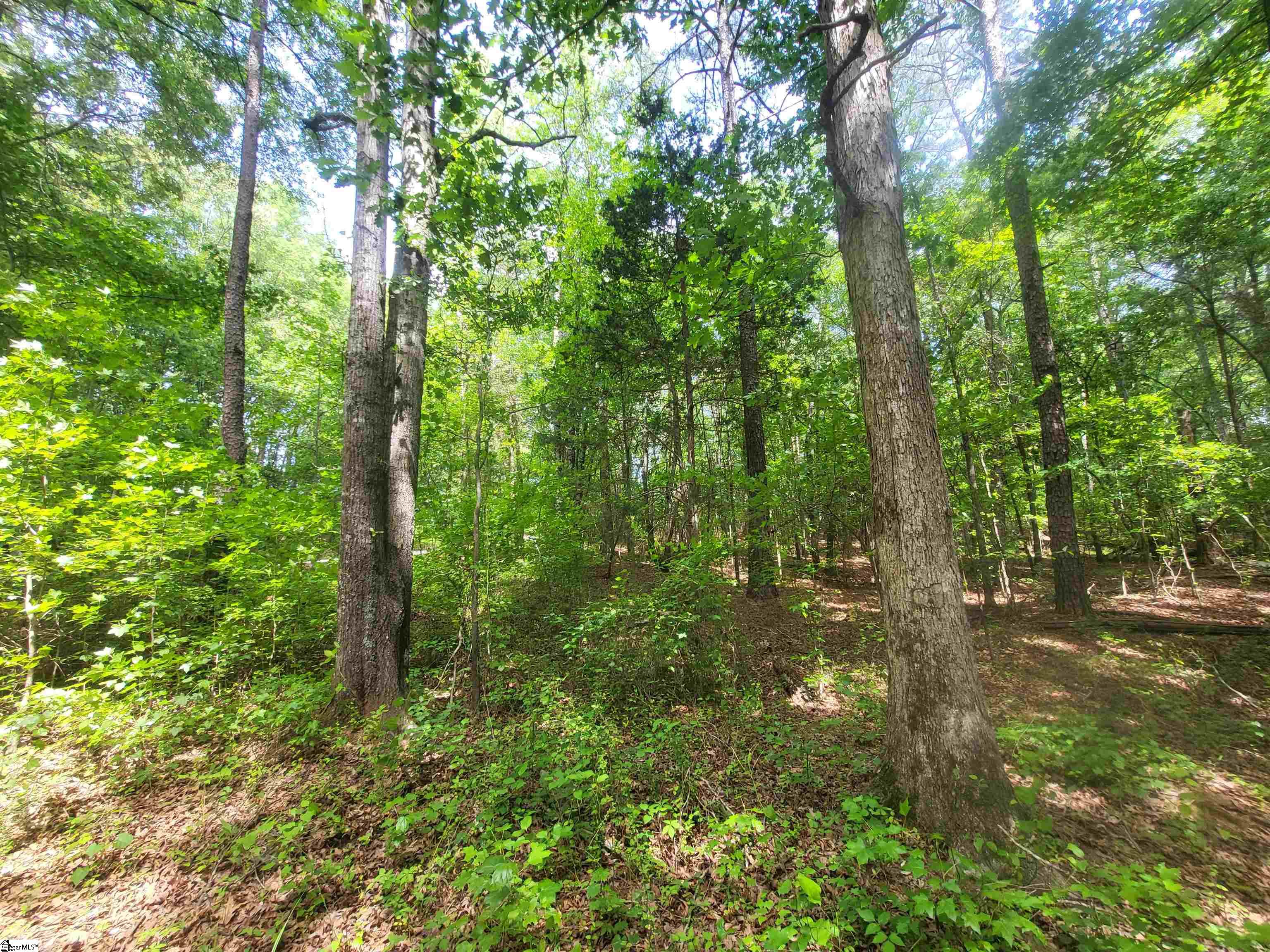 162 Courtney Road Cowpens, SC 29330 - Photo 3 of 8