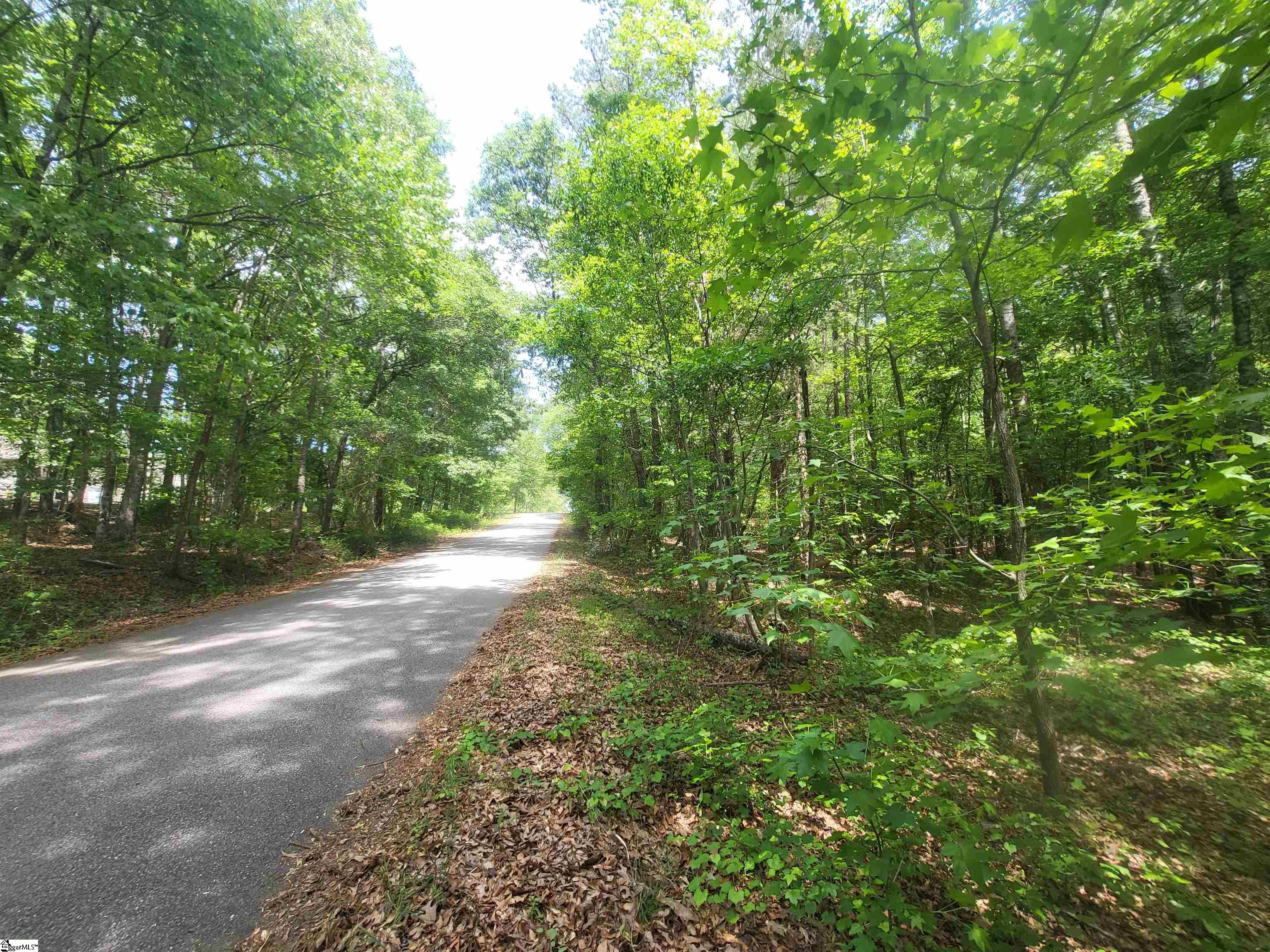 162 Courtney Road Cowpens, SC 29330 - Photo 7 of 8
