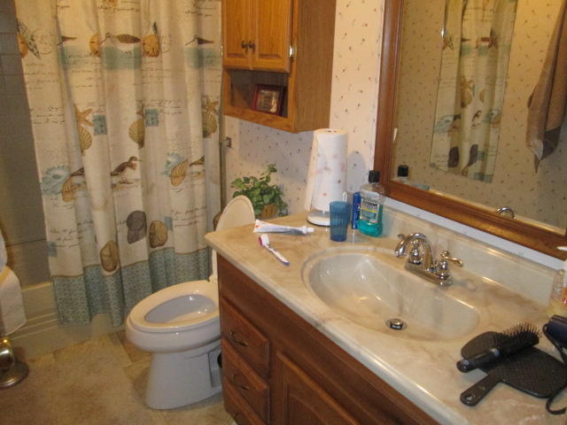 316 Rugby Road Fairfield Glade, TN 38558 - Photo 14 of 21 14 Guest bath