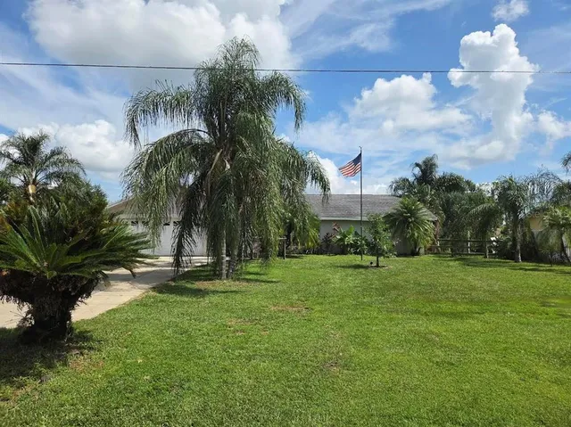 a garden with trees in front of it