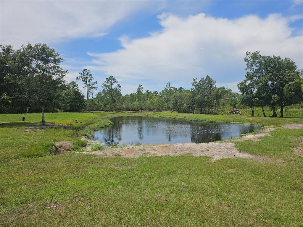 208 Limpkin Lane Frostproof, FL 33843 - Photo 38 of 60 a view of a lake with a big yard