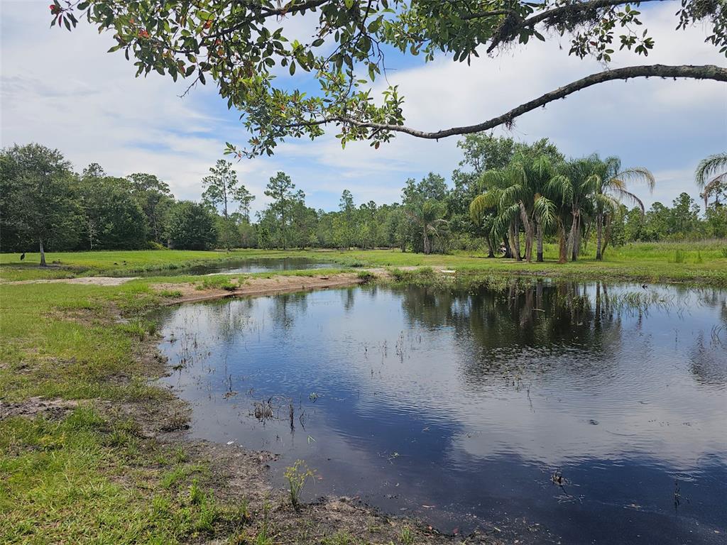 208 Limpkin Lane Frostproof, FL 33843 - Photo 40 of 60 a view of a lake with a yard and palm trees