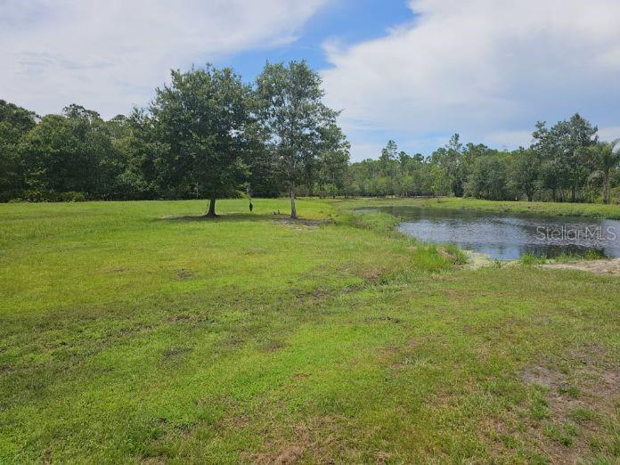 208 Limpkin Lane Frostproof, FL 33843 - Photo 41 of 60 a view of a green field with trees in the background