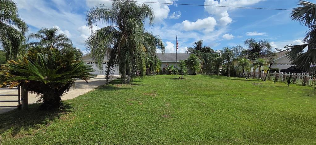 208 Limpkin Lane Frostproof, FL 33843 - Photo 59 of 60 a view of a park with a tree