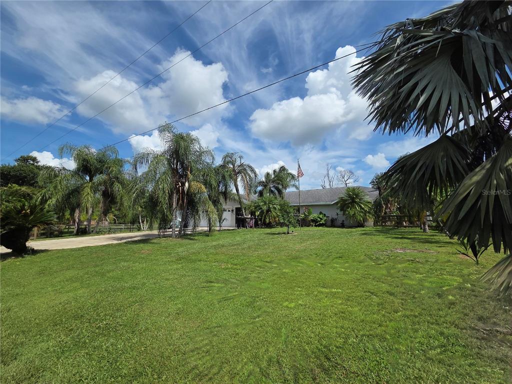 208 Limpkin Lane Frostproof, FL 33843 - Photo 60 of 60 a view of a palm trees in a yard