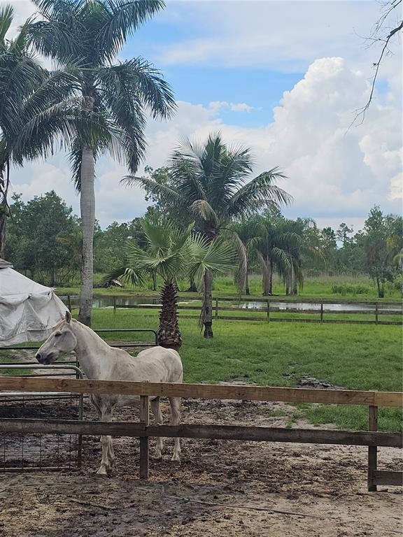 208 Limpkin Lane Frostproof, FL 33843 - Photo 8 of 60 a view of a park and entertaining space
