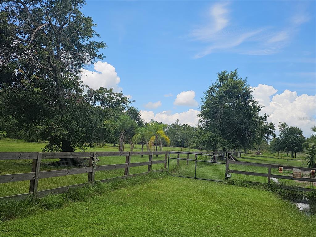 208 Limpkin Lane Frostproof, FL 33843 - Photo 9 of 60 a view of a park with large trees
