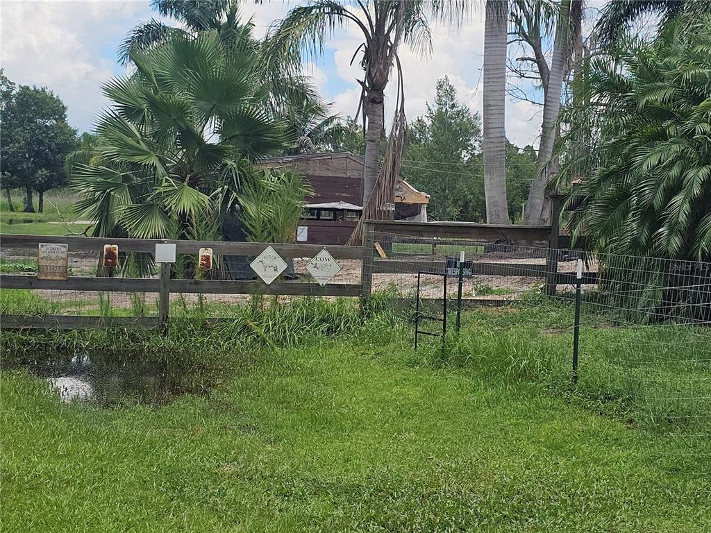 208 Limpkin Lane Frostproof, FL 33843 - Photo 10 of 60 a view of park benches sitting below a green tree