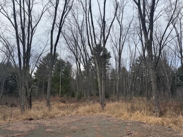 4 Taliesin Way Schofield, WI 54476 - Photo 5 of 10