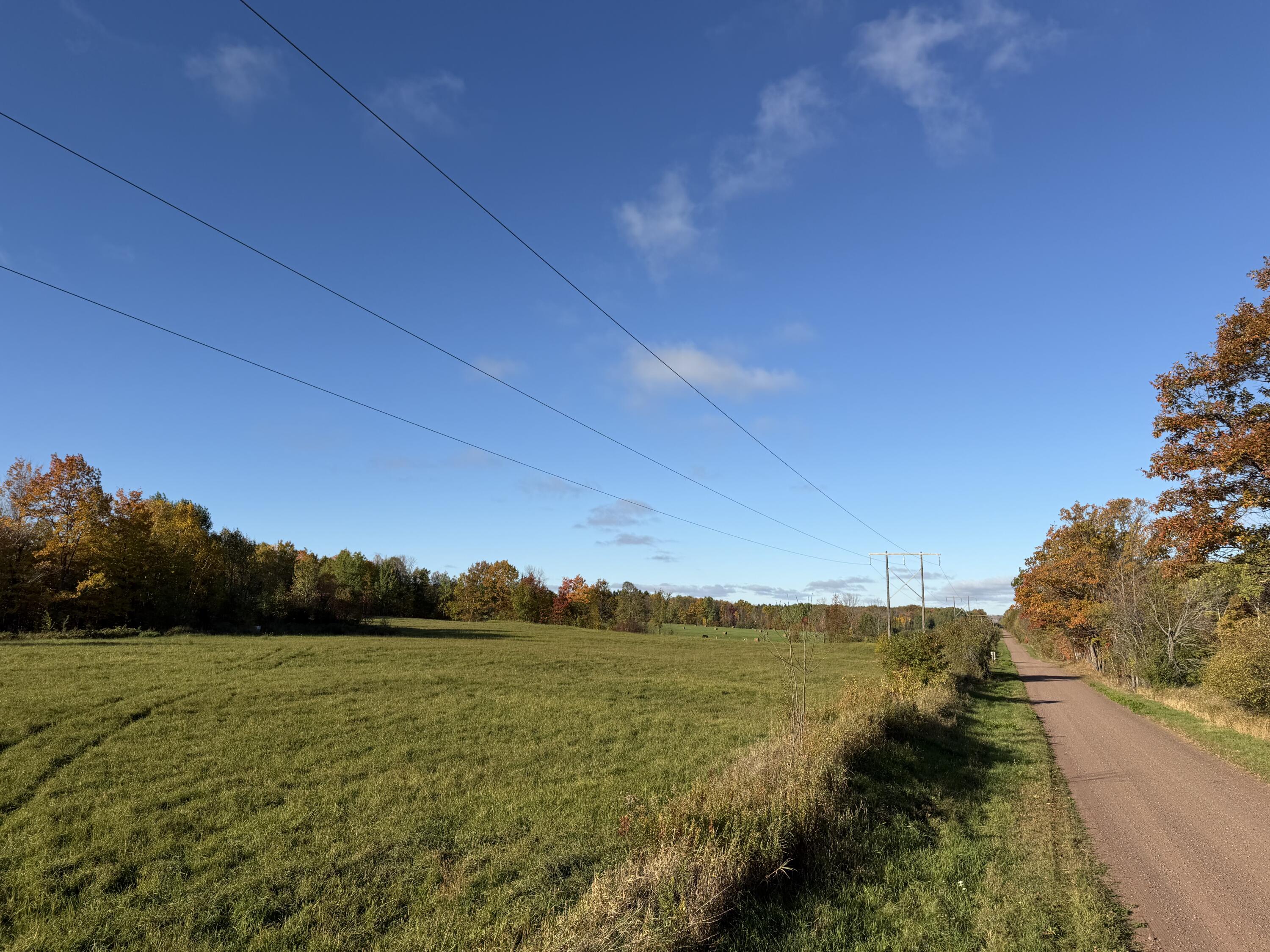 Cameron Rowe - IMG_0070