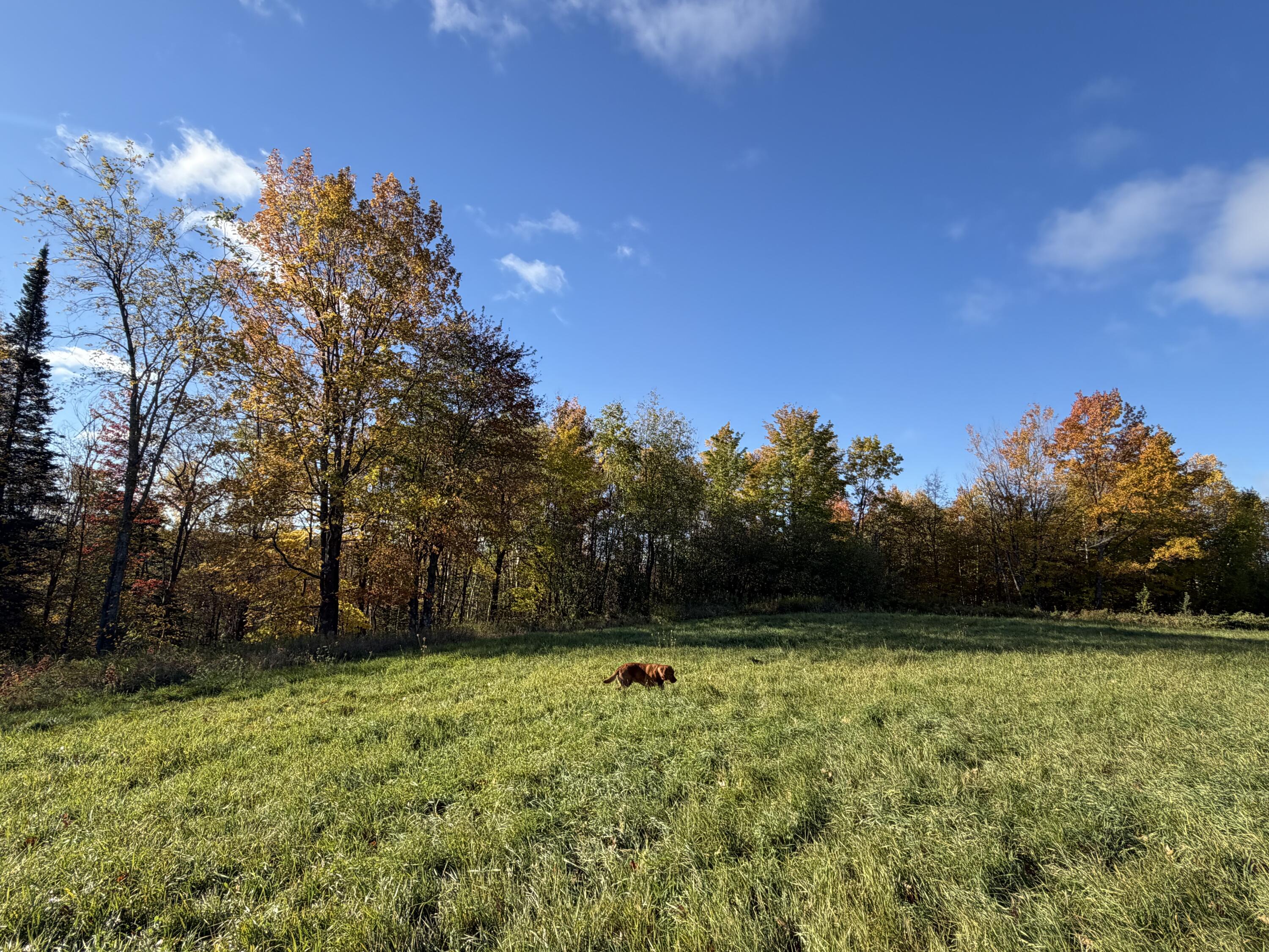 9045 Sands Road Saxon, WI 54559 - Photo 12 of 16 Cameron Rowe - IMG_0075