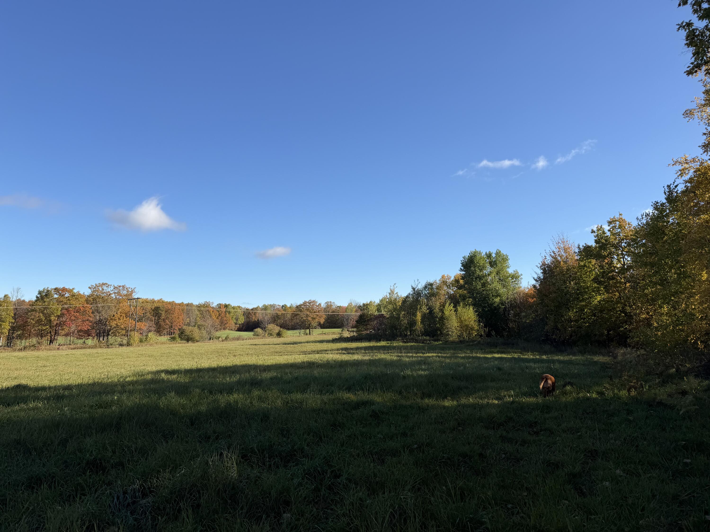 9045 Sands Road Saxon, WI 54559 - Photo 14 of 16 Cameron Rowe - IMG_0082