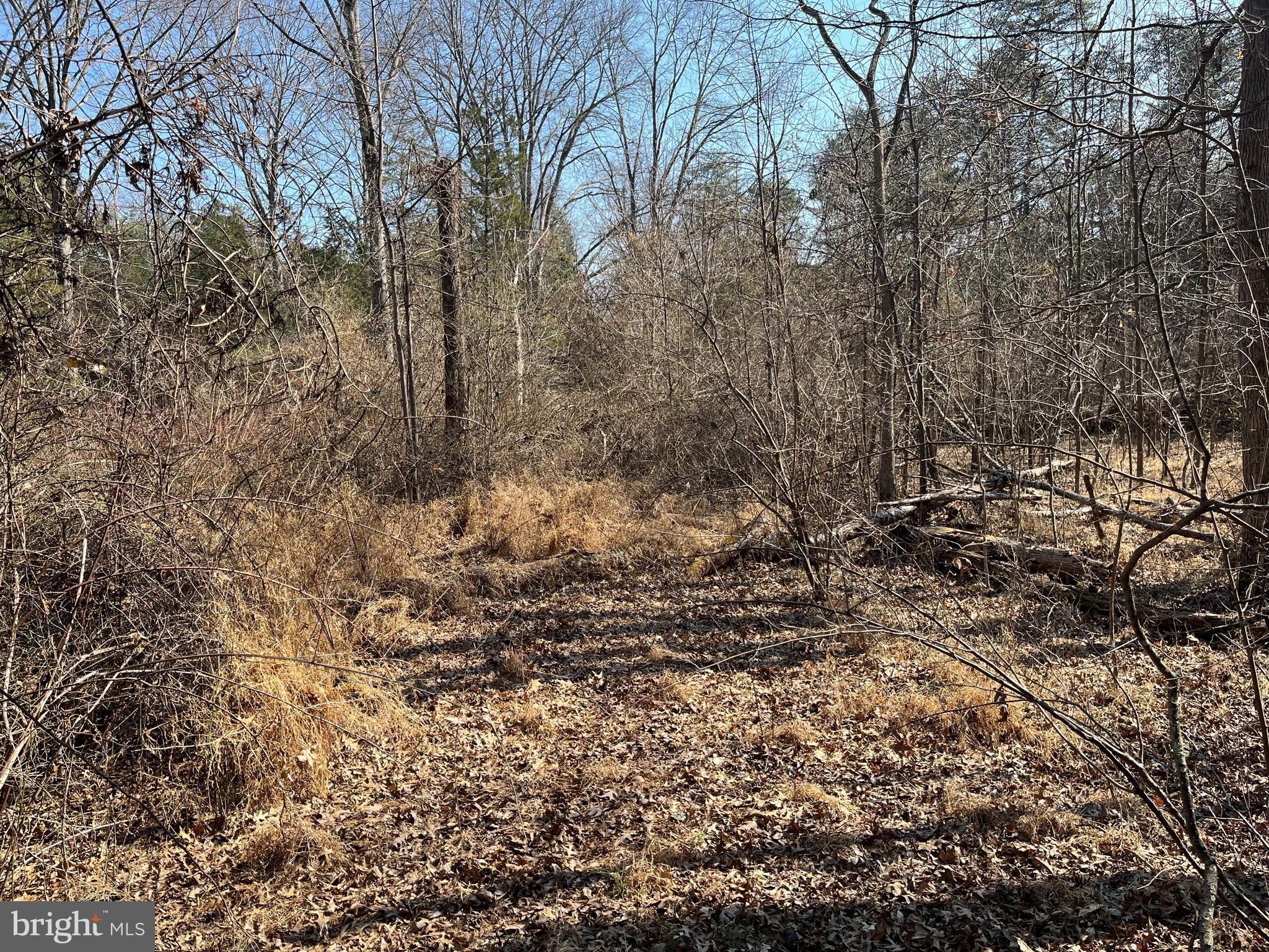 18491 Clay Hill Road Stevensburg, VA 22741 - Photo 3 of 13