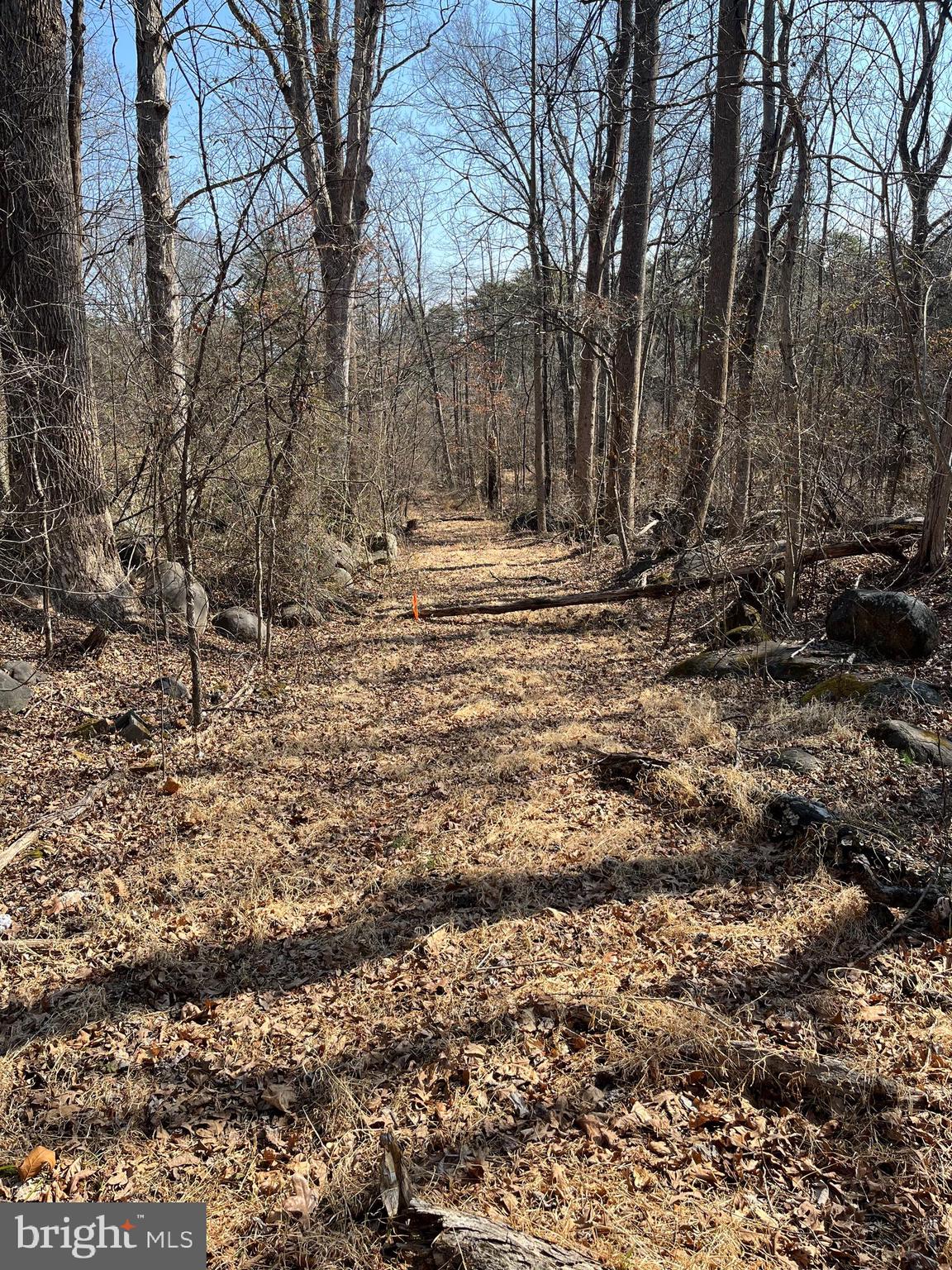 18491 Clay Hill Road Stevensburg, VA 22741 - Photo 5 of 13