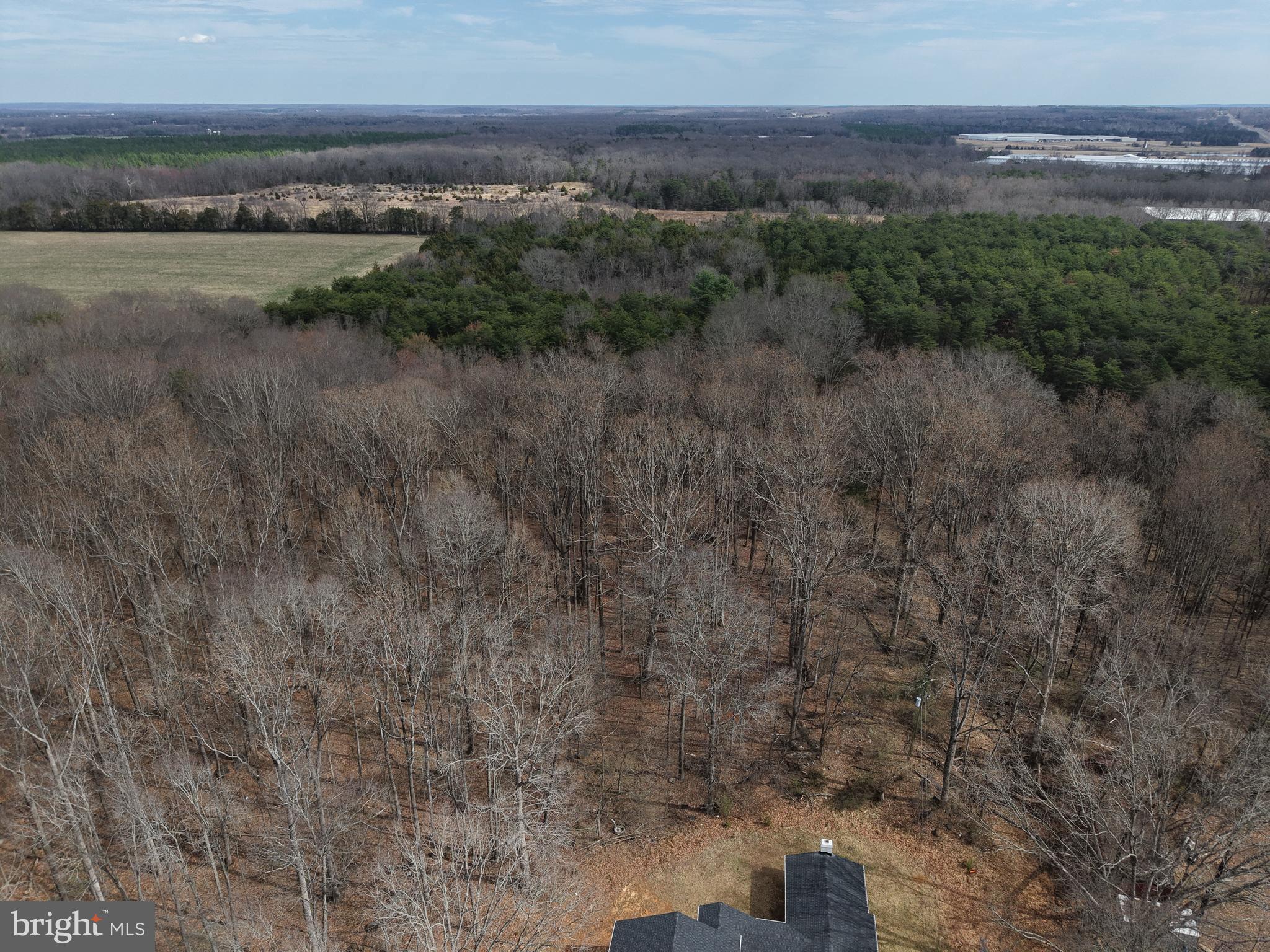 18491 Clay Hill Road Stevensburg, VA 22741 - Photo 8 of 13