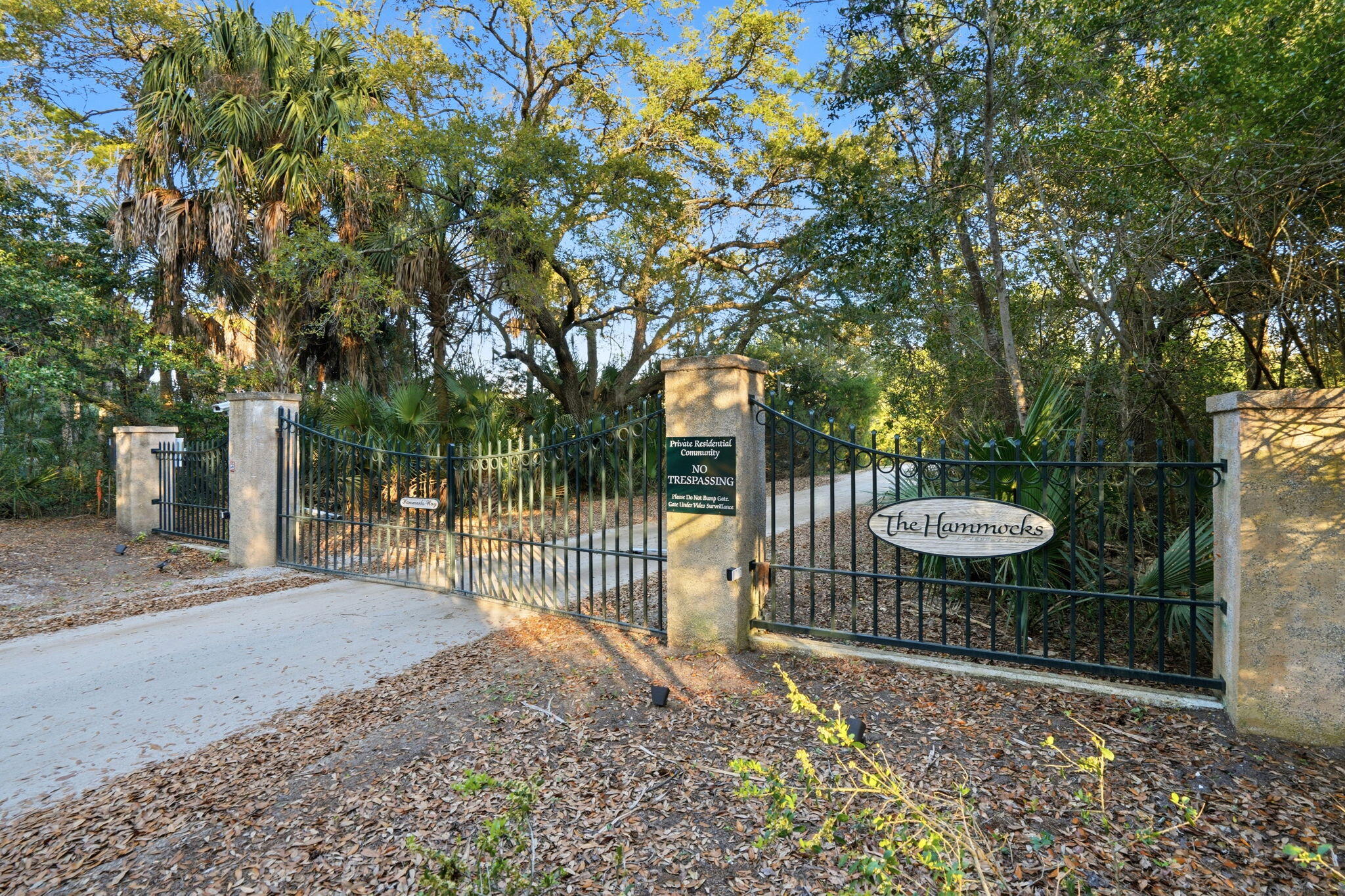 0 Hammocks Way Edisto Island, SC 29438 - Photo 5 of 40 59-web-or-mls-008_DSC06826