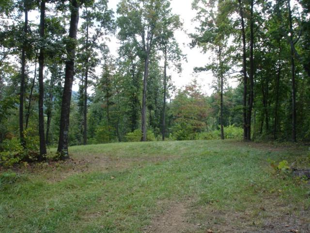 3 Timber Line Road Ferrum, VA 24088 - Photo 3 of 18 a big yard with lots of green space and trees