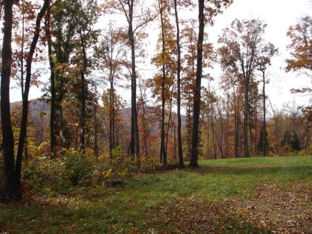 3 Timber Line Road Ferrum, VA 24088 - Photo 4 of 18 a view of backyard with green space