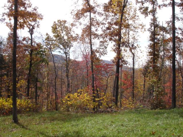 3 Timber Line Road Ferrum, VA 24088 - Photo 5 of 18 a view of outdoor space