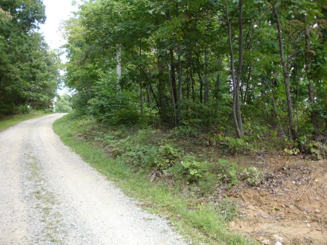 3 Timber Line Road Ferrum, VA 24088 - Photo 9 of 18 a view of outdoor space and green space
