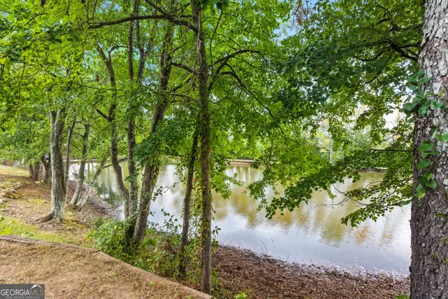 a view of a yard with large trees