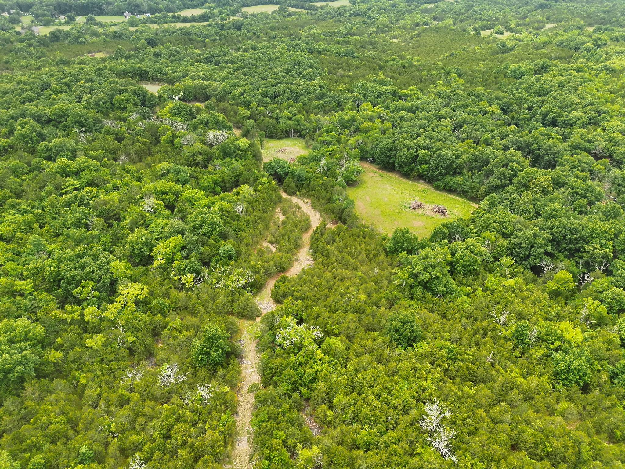 4492 Murray-Kittrell Road Readyville, TN 37149 - Photo 7 of 27