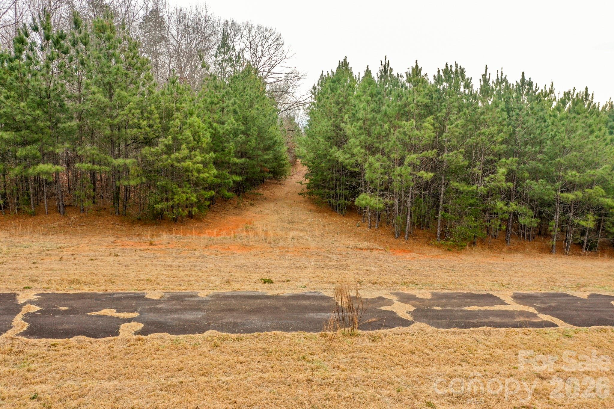 0 Dead End Road Bostic, NC 28018 - Photo 13 of 26 Gallery Image 13