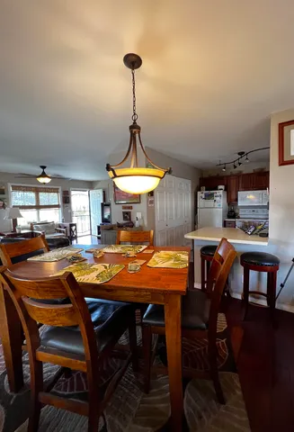 a view of a backyard with plants