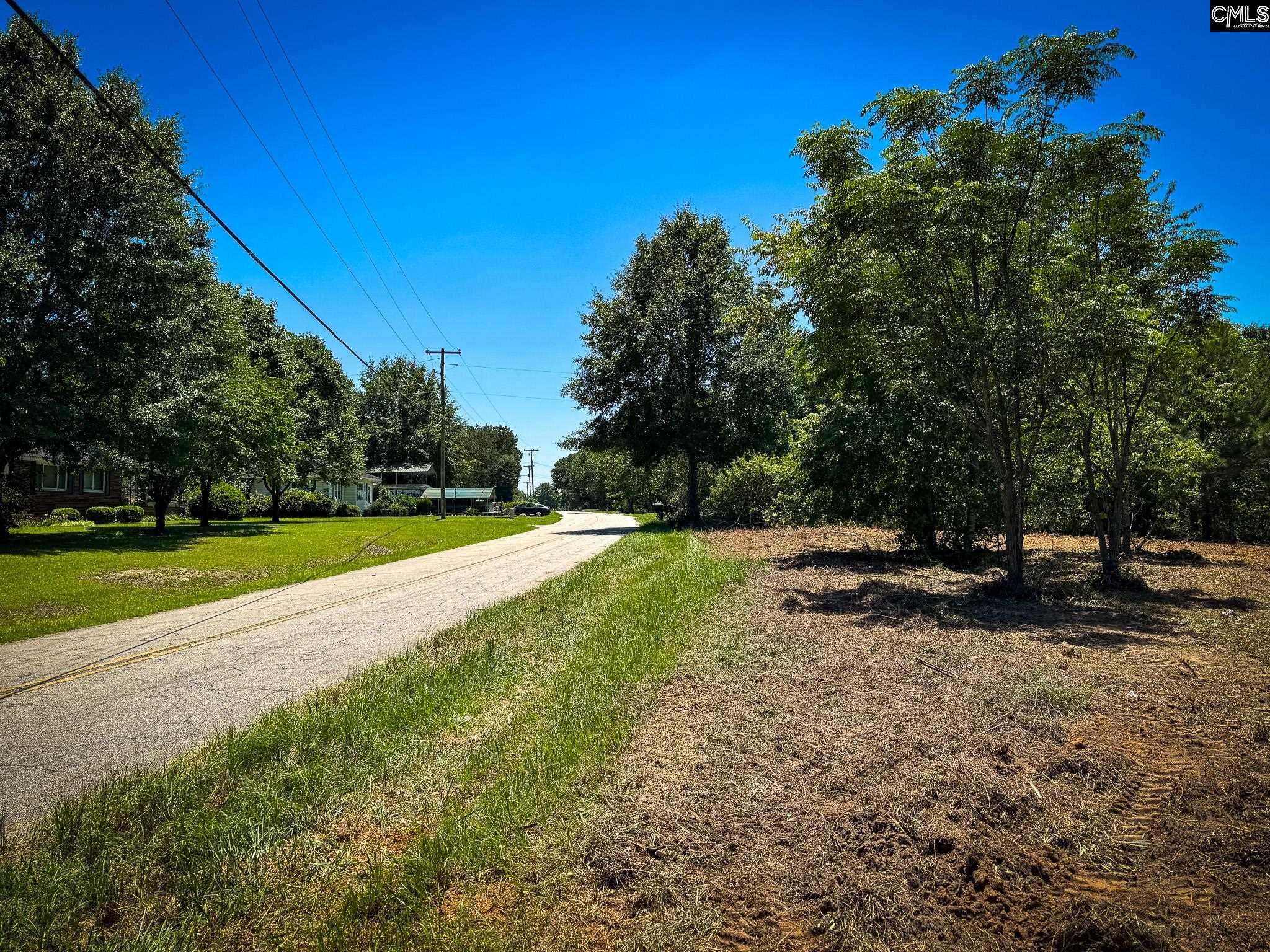 0 South Bethlehem Road, Unit LOT 2 Batesburg, SC 29006 - Photo 6 of 8