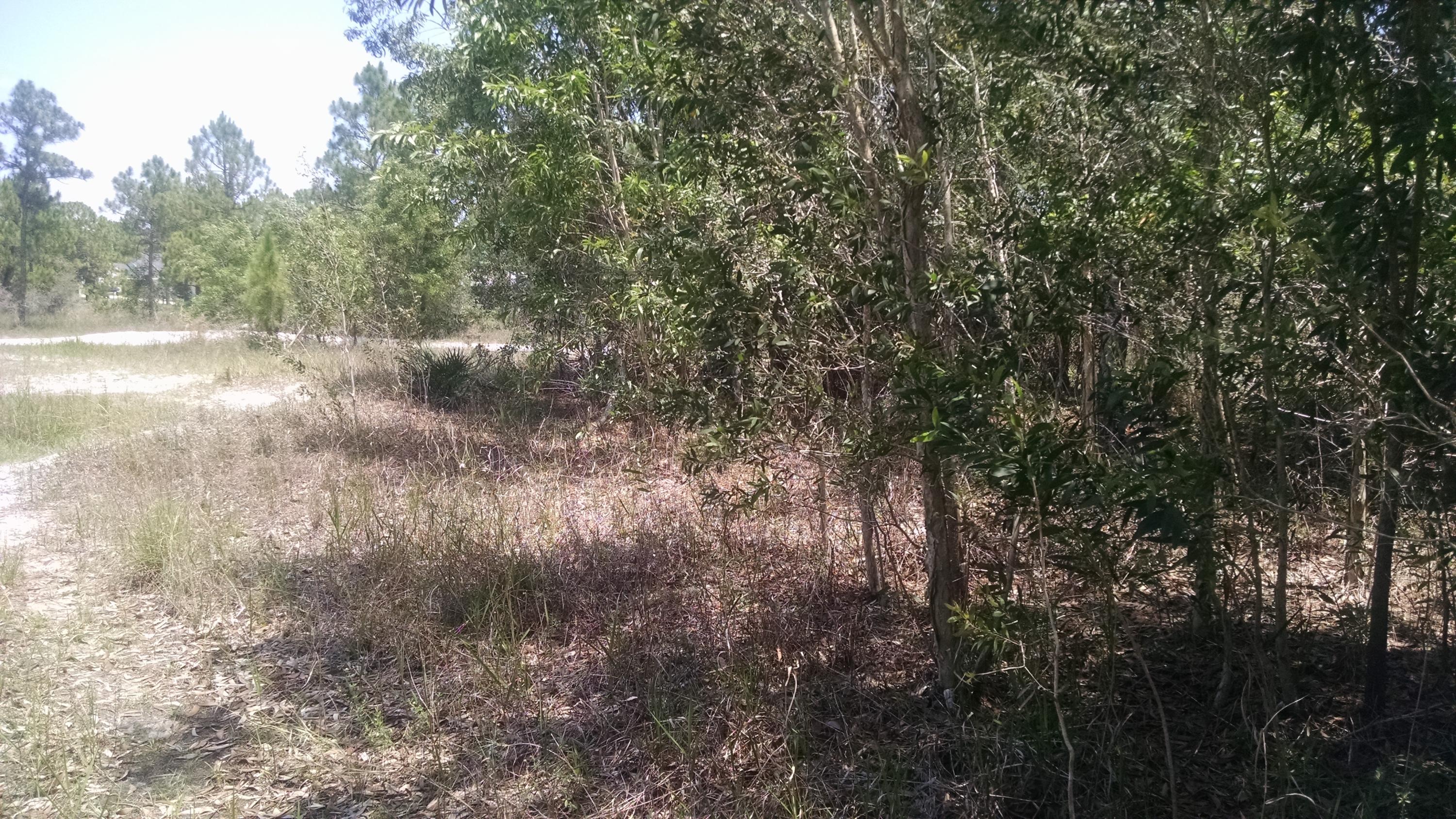 17276 82nd Road North Loxahatchee, FL 33470 - Photo 15 of 19 2015-05-01 13.12.34