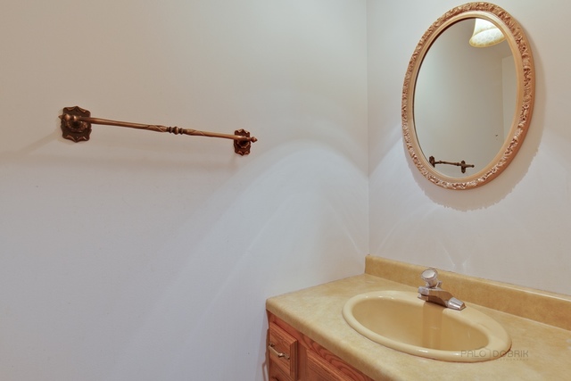 601 West Golf Road Libertyville, IL 60048 - Photo 14 of 27 a bathroom with a sink and a mirror