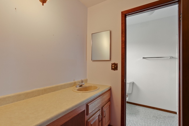 601 West Golf Road Libertyville, IL 60048 - Photo 18 of 27 a bathroom with a sink and a mirror