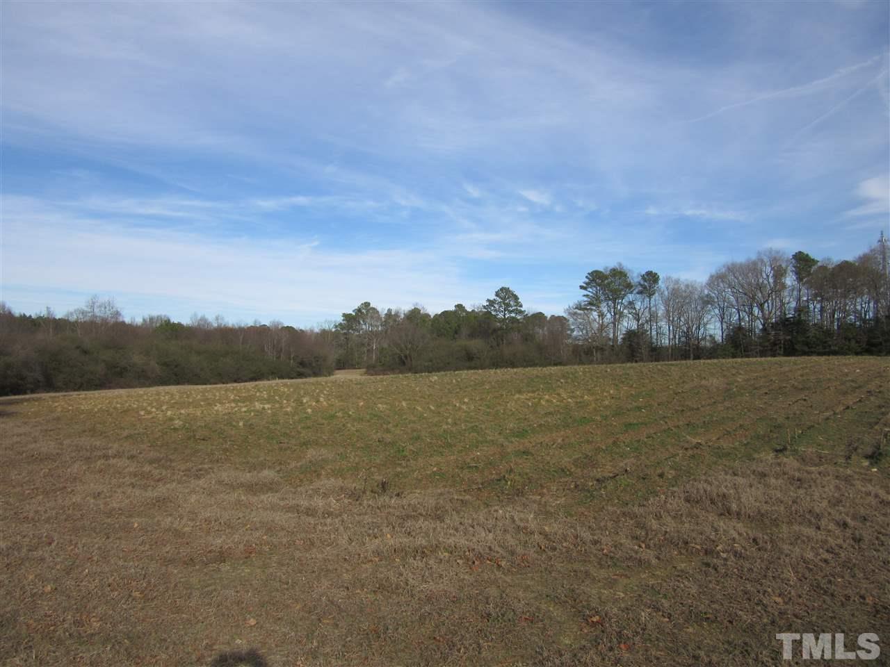 Lot 5 Jack Mitchell Road Zebulon, NC 27597 - Photo 2 of 4 Gallery Image 2